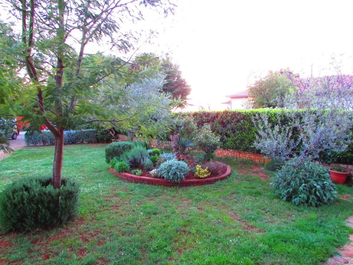 Tar-Vabriga Apartman Perci Vrh מראה חיצוני תמונה