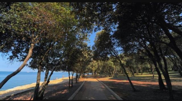 Tar-Vabriga Apartman Perci Vrh מראה חיצוני תמונה